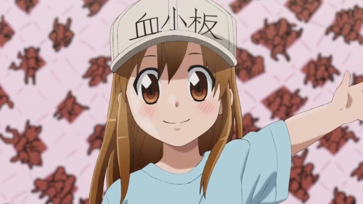 【働く細胞】動画で見る アニメで語られない血小板ちゃんが子供な理由について解説 【働く細胞】動画で見る アニメで語られない血小板ちゃんが子供な理由について解説