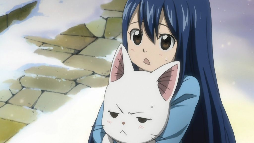 ☆【未使用】アールビバン フェアリーテイル ウェンディ シャルル シャルルフェアリーテイル】ヴァイスシュヴァルツ FT/S120-083 100年