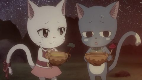 FAIRY TAIL白猫コラボポスターサイン FAIRY TAIL白猫コラボポスター