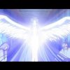 翼人の神奈